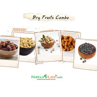 NatureLoc Premium Dry Fruits Combo